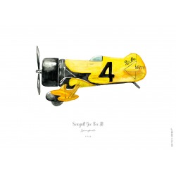 Seagull Gee Bee R1